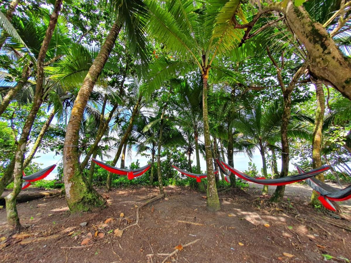 Caribbean View Lägenhet Tortuguero Exteriör bild