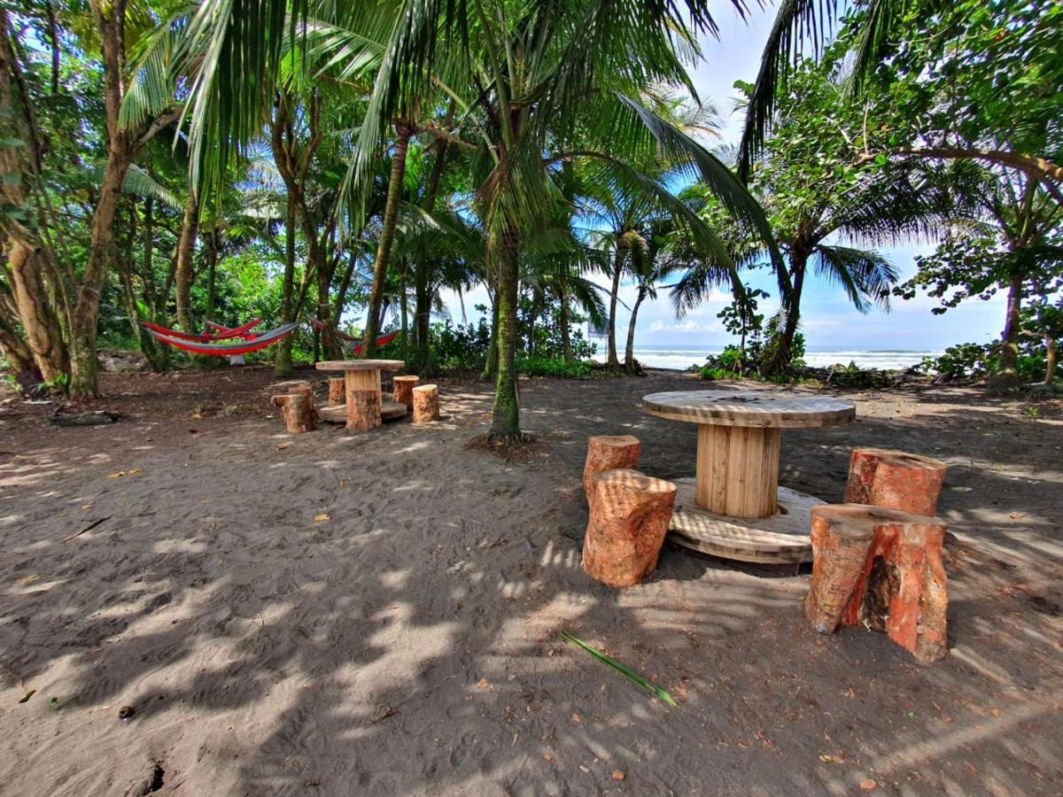 Caribbean View Lägenhet Tortuguero Exteriör bild