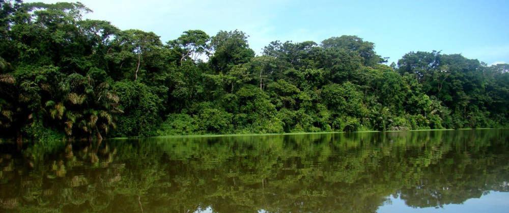 Caribbean View Lägenhet Tortuguero Exteriör bild