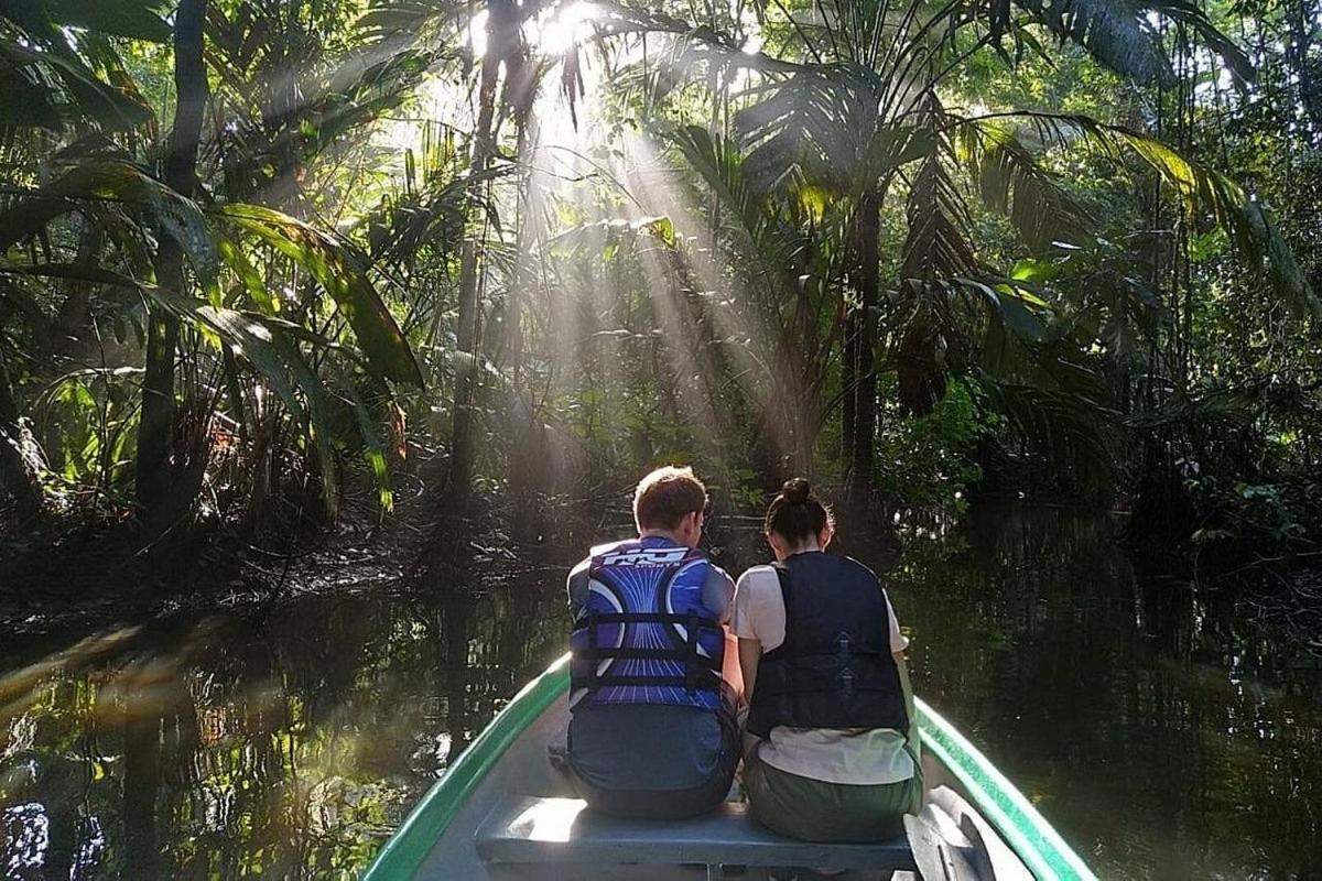 Caribbean View Lägenhet Tortuguero Exteriör bild