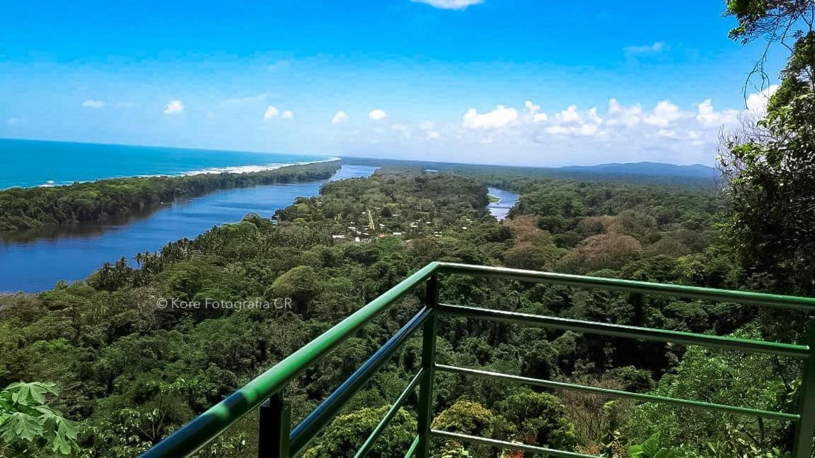 Caribbean View Lägenhet Tortuguero Exteriör bild