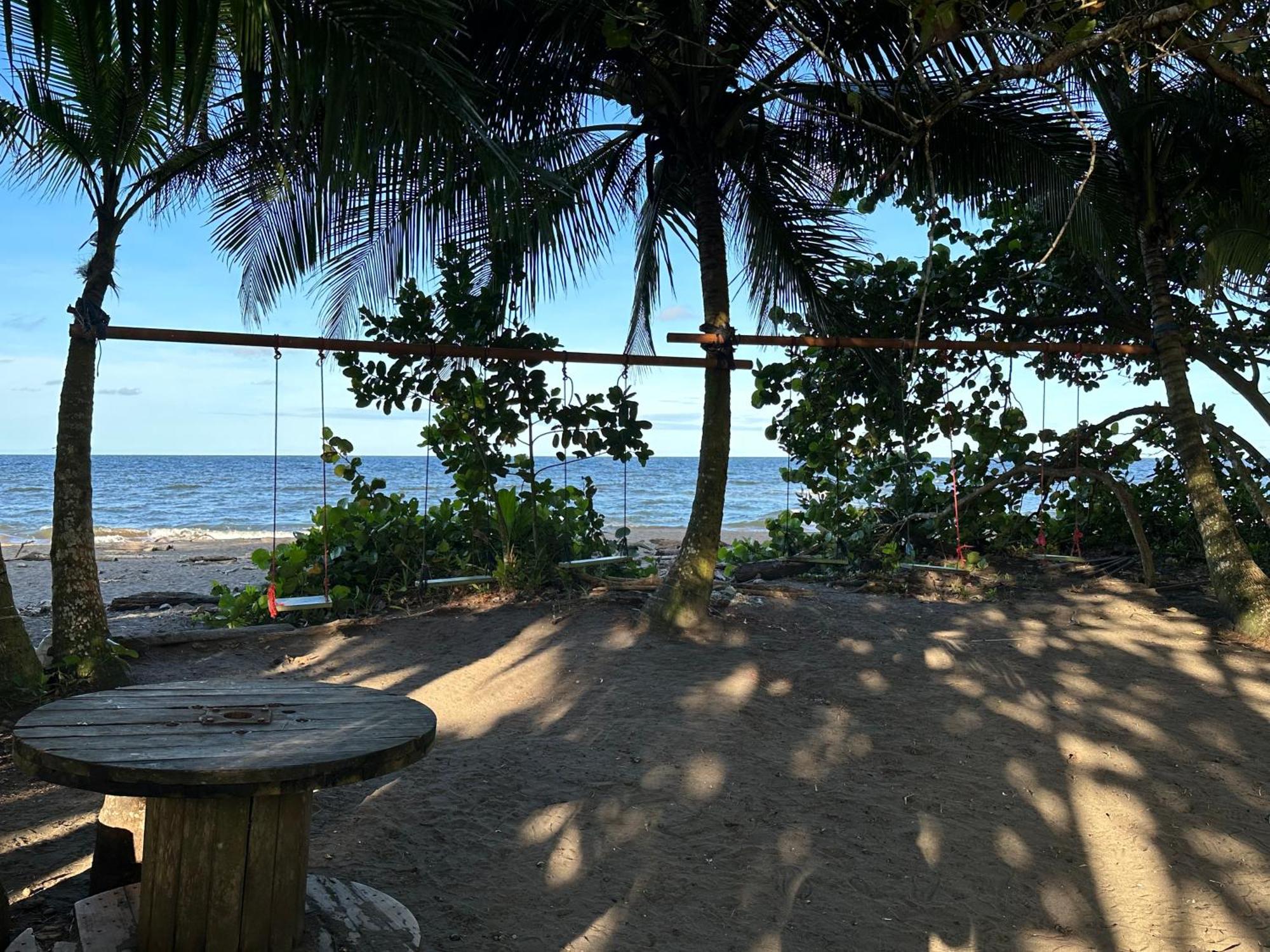 Caribbean View Lägenhet Tortuguero Exteriör bild